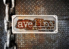 Avelino Moda