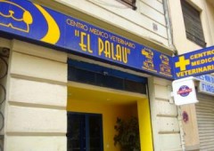 Centro Medico Veterinario El Palau