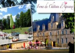 Hotel Restaurant Chateau D'agneaux ***