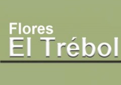 Flores El Trebol