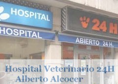 Hospital Veterinario 24h. Alberto Alcocer 
