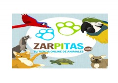 Zarpitas - Hobby Zoo