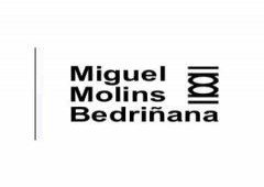 Miguel Molins Psicologo Clinico Psicoterapeuta