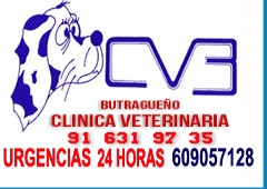 Clinica Veterinaria ButragueÑo