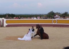 Mas du Pleindoux