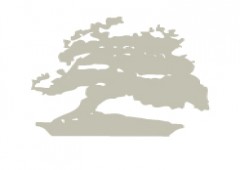Bonsai