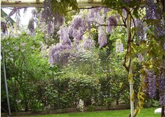 Casa LogroÑo