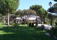 Avila Eventos
