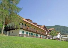 Natur Hotel Wieserhof ***