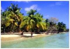 Le Paradis Des Anges