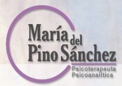 Mª Del Pino Sanchez Garcia