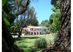 Summit Posada Boutique
