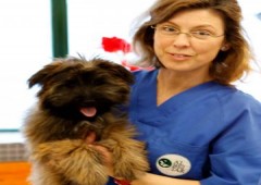 Clinica Veterinaria Albeitar