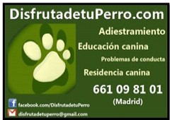 Club Canino Sisoucan.