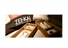 Zenkai 