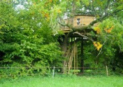 Les Noctam'Bulles - Cabanes dans les arbres