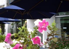 Hotel Continental **