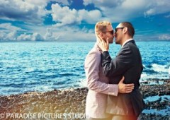 Paradise Pictures