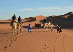 Farhana voyages et transport touristique