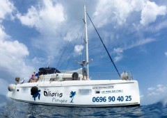 Aliotis Plongée Aliotis Plongée