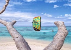 Just'in Kite