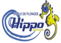 Plongée Hippo