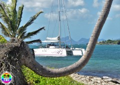 Catamaran BB Sea Martinique Catamaran BB Sea Martinique