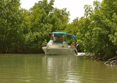 Ti-yot Bateau Electrique