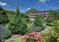 Hotel des Vignes ****