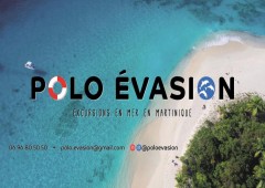 Polo Evasion Polo Evasion