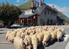 Hôtel Transhumance & Cie