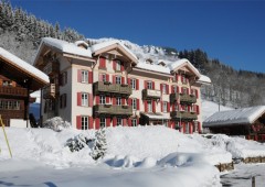 Historic Hotel du Pillon Historic Hotel du Pillon