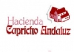 Hacienda Capricho Andaluz