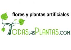 Todaslasplantas.com 