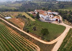 Bodegas J. Miquel Jane