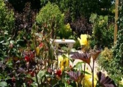 Sojapi Cabanes dans les arbres et Yourte