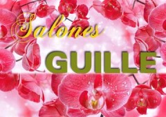 Salon Guille