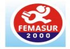 Femasur2000