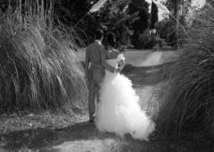 Photographe Avignon