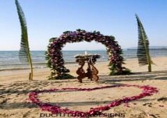 Duch Floral Desings