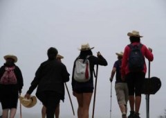 Camino de Santiago