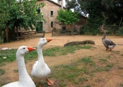 Casa Rural Can Nan Vila