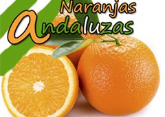 Naranjas Andaluzas