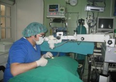 Clinicas Veterinarias Avila
