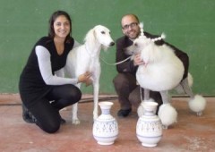 Peluqueria Canina Pampa