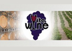 www.ventavinoonline.net