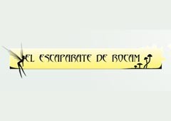 El Escaparate De Rocam