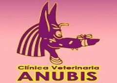 Anubis Clinica Veterinaria
