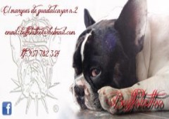 Buffo Tatoo