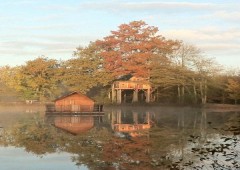 Domaine de la Dombes